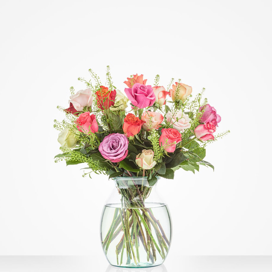 Kleurrijke Rozen